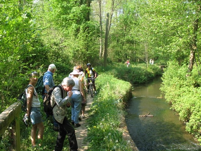2007 04 Plantes alimentaires 18